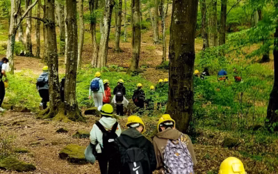 Travel & Babble 2023. július 28.